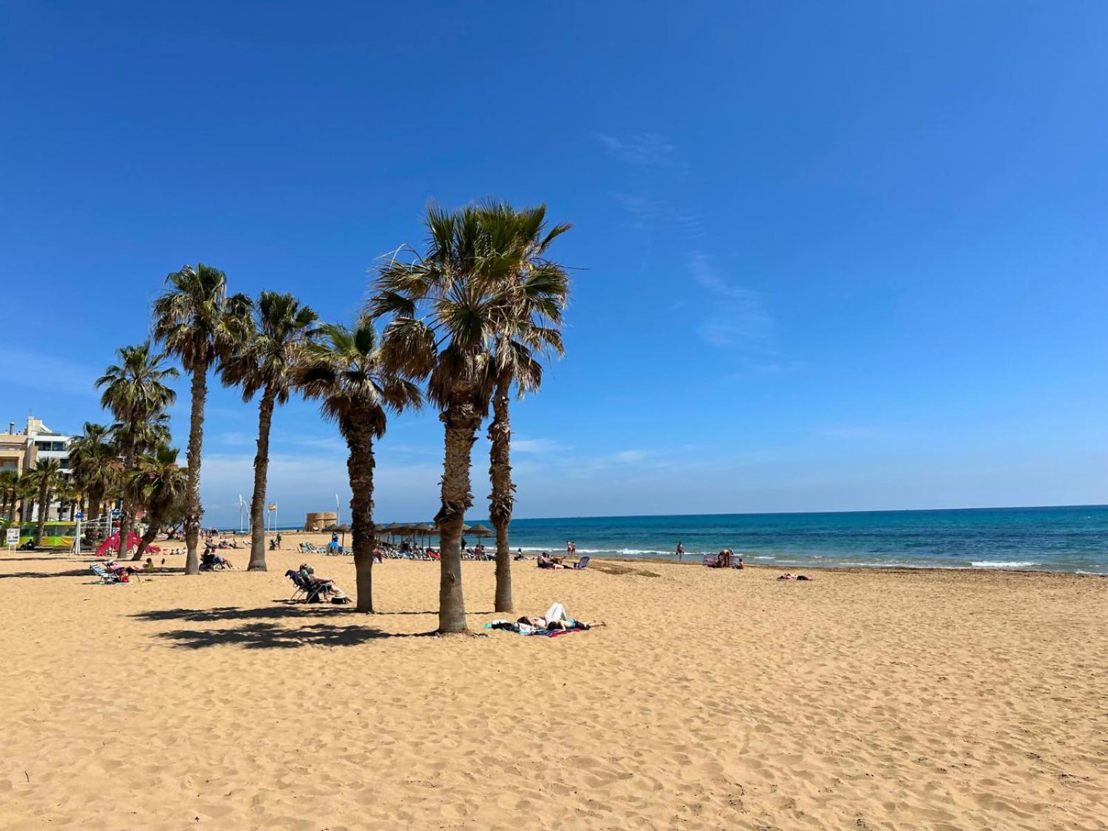 Cipres 4 Apartamento En Urbanizacion Con Piscina Τορεβιέχα Εξωτερικό φωτογραφία